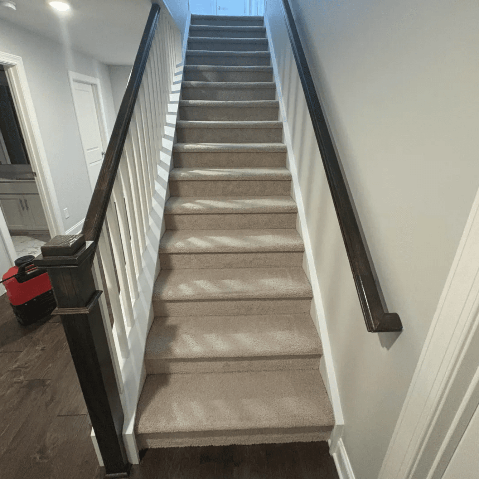 Carpet cleaning in Mesquite, TX