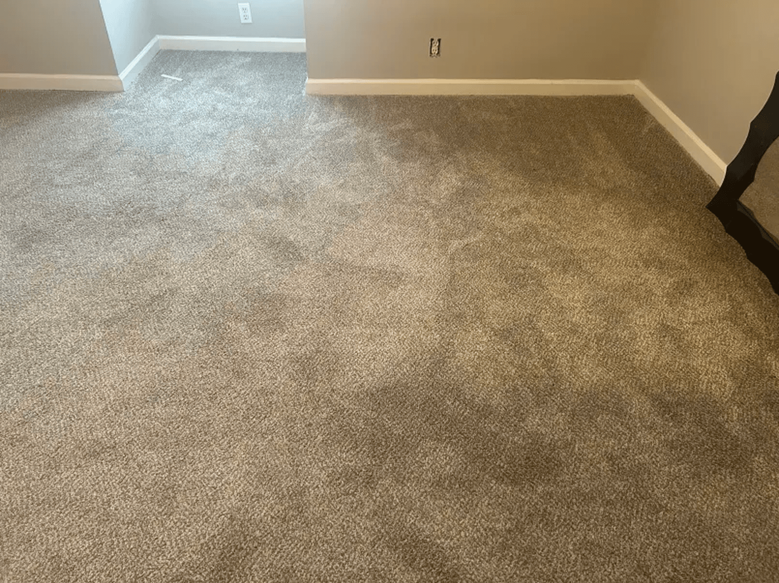 Carpet cleaning in Wylie, TX